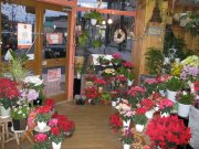 「さくら花店　三馬店」　（石川県金沢市）の花屋店舗写真2